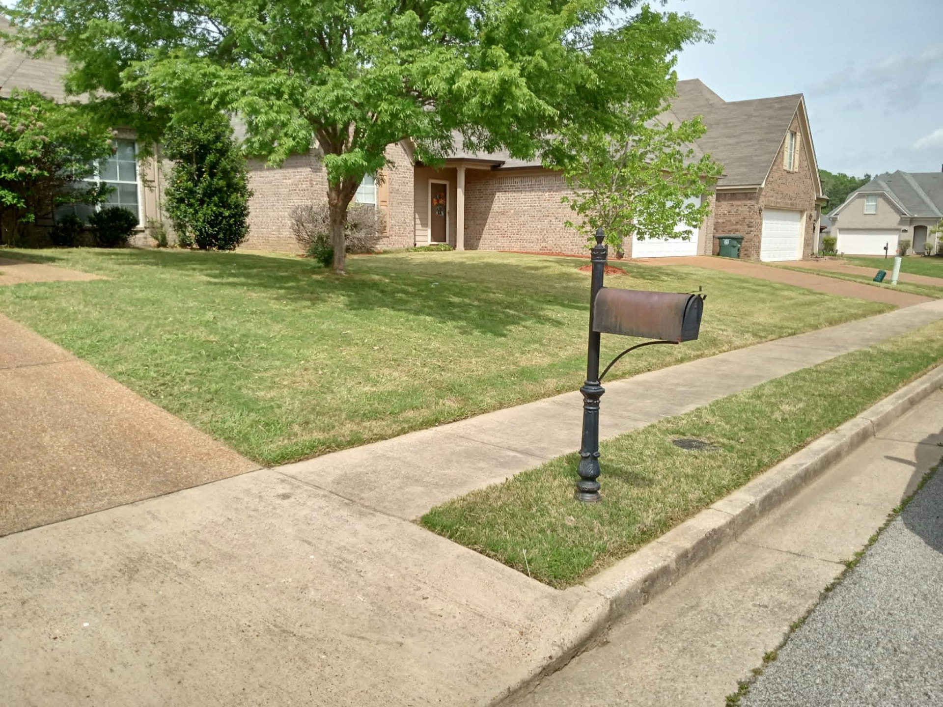 The same yard cut low and even with the mailbox area trimmed after lawn service