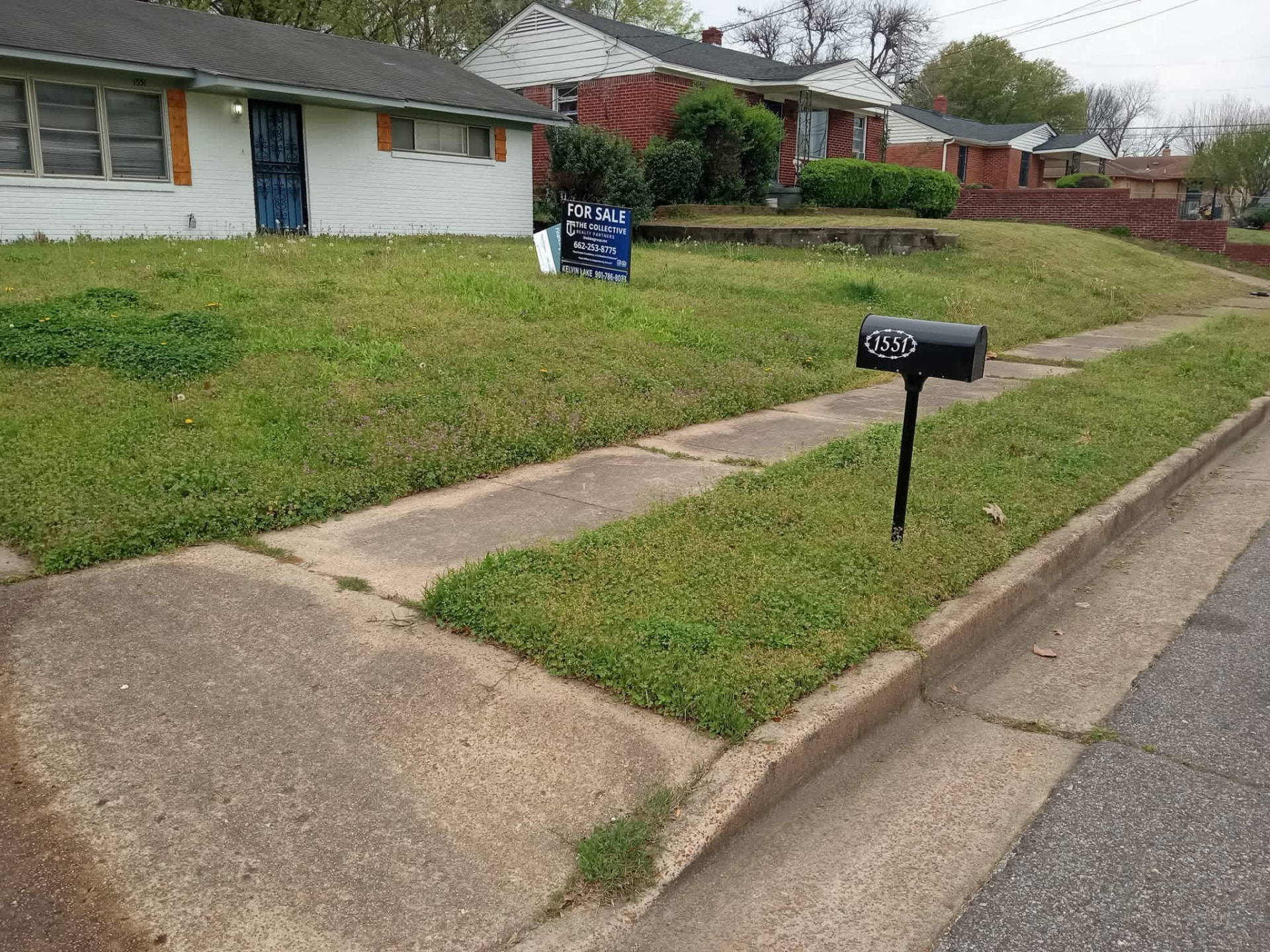 Overgrown front lawn and weed-covered sidewalk at a Memphis home before service