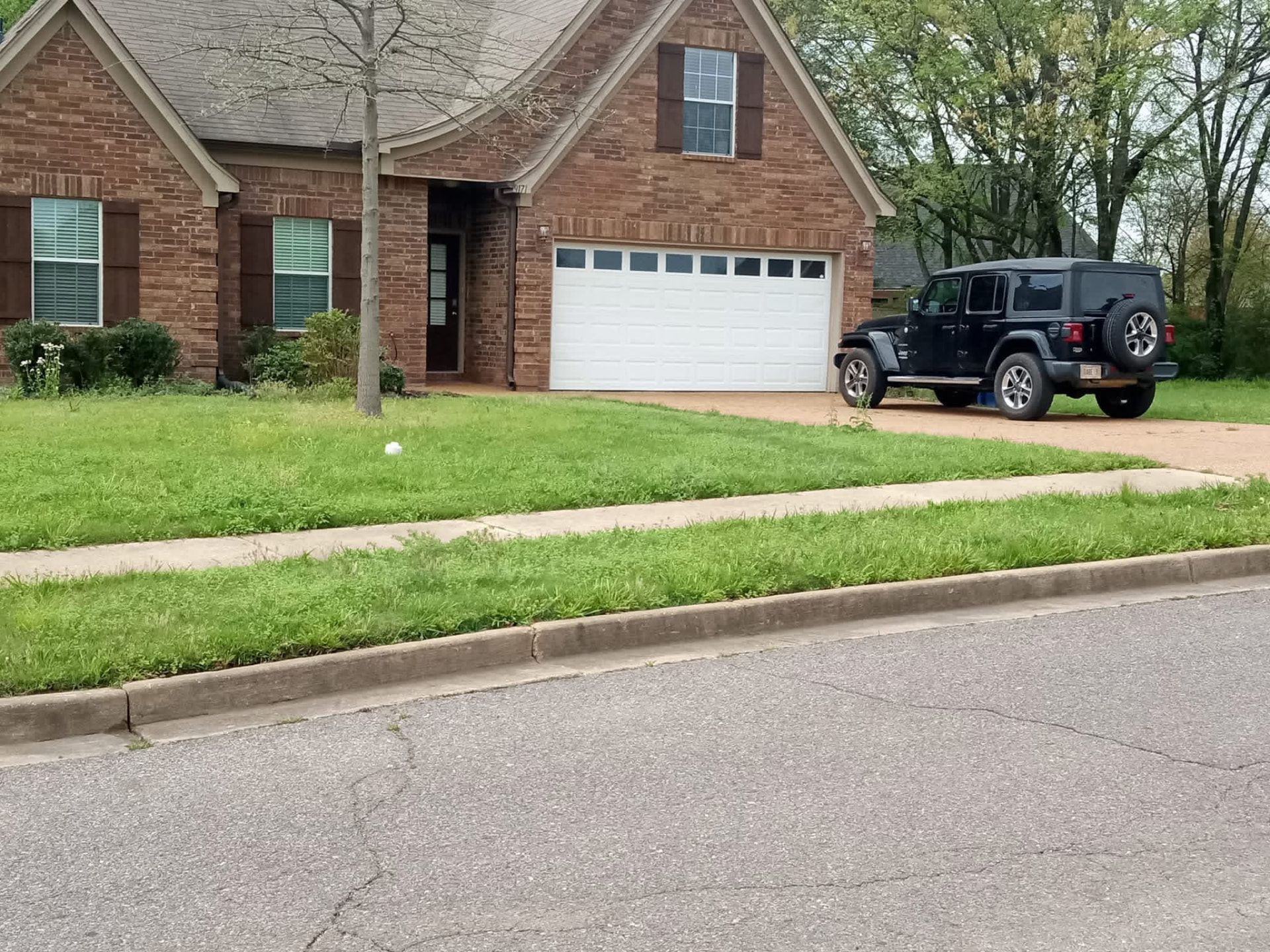 Tall grass and weeds along the curb of a brick home before mowing